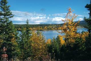 Herbstfarben am 108 Mile Lake